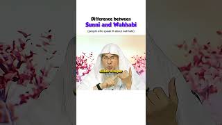 Difference between sunni and Wahhabi  people who talk ill about wahhabism  islam quran muslim [upl. by Sheeb562]