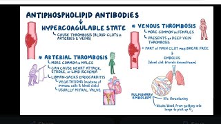 Mystery diagnosis antiphospholipid antibody syndrome [upl. by Reilamag331]