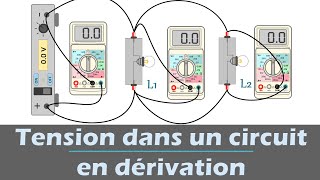 Tension dans un circuit en dérivation  Physique  Collège [upl. by Archaimbaud]