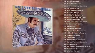 Volver Disco Completo Vicente Fernández Mix Exitos [upl. by Hosbein967]