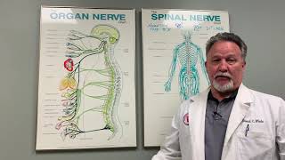 Vitalism verses Mechanism in Health [upl. by Canada]