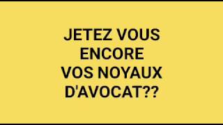 Ne plus jeter les noyaux davocat [upl. by Sidell]