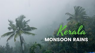 Why Kerala for Monsoon  Best Monsoon video [upl. by Ras155]