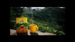 Lipton Ceylonta Sunshine Advertisement [upl. by Berkly]