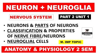 Neurons  Neuroglial cells  Types  Classification amp Properties of nerve fibre  Part 2 U 1  hap 2 [upl. by Hesky]