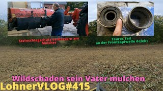 LohnerVLOG415 Wildschaden mulchen I Steinschlagschutz am Heckmulcher I Fendt 926 Frontzapfwelle [upl. by Treat]