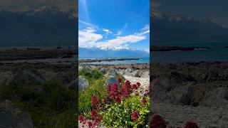 Beautiful Kaikoura shortsfeed [upl. by Akilat553]