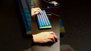 Gamer Delight Linear Switch Keyboard Animation Adventure 1 [upl. by Enamrahc727]