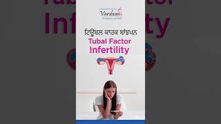 Fallopian Tube Blockage Symptoms Causes Diagnosis and Treatment  IVF in Jalandhar [upl. by Adkins611]