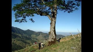 Sugestões de Passeios  Pedra Grande Gomeral [upl. by Norvin339]