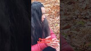 Chanterelles mushrooms in a forest in France 🇫🇷 shorts youtubeshorts [upl. by Doti919]