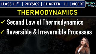 Class 11th Physics  Second Law of Thermodynamics  Reversible amp Irreversible Processes  Chapter 11 [upl. by Ellerret437]