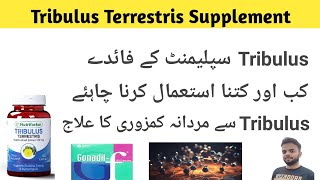 Tribulus Terrestris Supplement Health Benefits For Men  Testosterone booster Dosage amp side effects [upl. by Nobile]