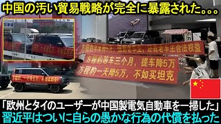 【速報】「欧州とタイのユーザーが中国製電気自動車を一掃した」中国の汚い貿易戦略が完全に暴露された。。。 [upl. by Fennell951]