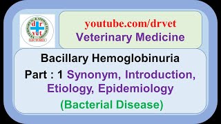 Bacillary Hemoglobinuria Part 1 synonym introduction etiology epidemiology [upl. by Eimaraj]