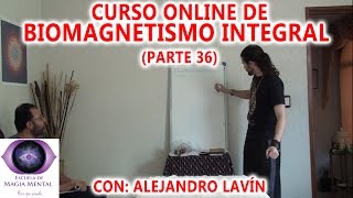 Biomagnetismo Integral Curso completo Parte 36  Alejandro Lavín [upl. by Jannery392]