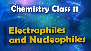 Electrophiles and Nucleophiles  Basic Principle and Techniques in Organic Chemistry  Chemistry [upl. by Dur]