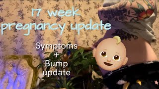 17 Week Pregnancy UpdateBump Update With Baby 3 [upl. by Aicilihp]