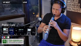 Aerophone Mini AE01 Sax Cover [upl. by Aiken134]