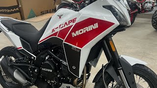 Morini xcape 650 customcrew msk москва яйцакурица [upl. by Anatollo]