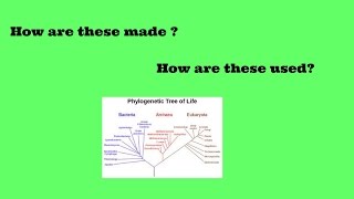 Phylogenetic trees and cladograms [upl. by Krystalle790]