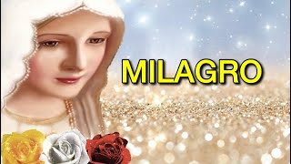 Milagro De La Rosa Mística 🌹🙏🏻Amor Y Devoción [upl. by Krisha]