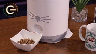 Catit PIXI Smart Feeder Review  The Gadget Show [upl. by Jerrine4]