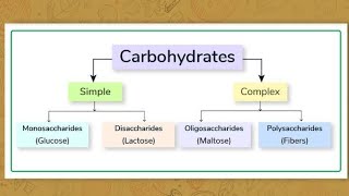 Biochemistry L1 Carbohydrates 2nd part ssc fbise apsacs chemistry [upl. by Weldon]