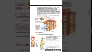 Histologie  tissus osseux [upl. by Boggers]