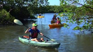 Kayakers Paddling in Rookery Bay  Naples FL [upl. by Lleynod]