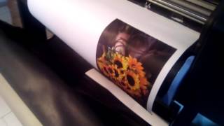 PLOTTER HP DESIGNJET 800 [upl. by Alodee487]