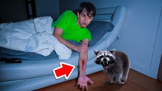 A Vicious Raccoon ATTACKED Me In The Middle Of The Night [upl. by Atinna]