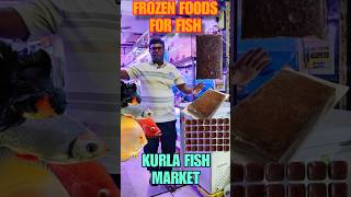 Best Food For Aquarium Fish  Frozen Food [upl. by Lekkim]