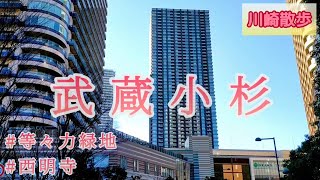 武蔵小杉駅から等々力緑地の周辺を歩きました【川崎散歩】 [upl. by Oech111]