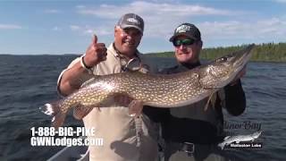 Minor Bay Lodge on Wollaston Lake Saskatchewan 2018 [upl. by Aleka695]