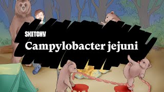 Campylobacter jejuni Causes Symptoms amp Complications Full Lesson Sketchy Medical  USMLE Step 1 [upl. by Cherilynn375]