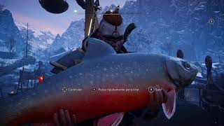 Assassin’s Creed® Valhalla ARCTIC TROUT BIG  TRUCHA ARTICA GRANDE  XBOX ONE X [upl. by Rosaleen]