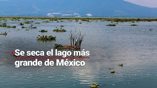 Jalisco  El Lago de Chapala atraviesa su peor CRISIS en 20 años la SEQUÍA lo ha afectado [upl. by Saberhagen]