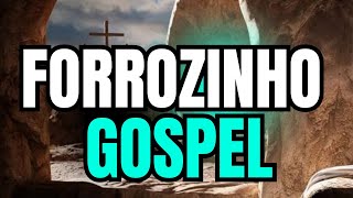 FORROZINHO GOSPEL 2024  SELEÇÃO FORRÓ GOSPEL ATUALIZADO [upl. by Oiramal]