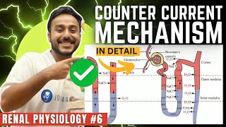 counter current mechanism in kidney physiology  concentration of urine renal physiology [upl. by Campman942]