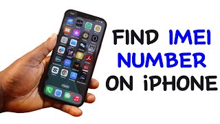 How to Find IMEI Number on iPhone [upl. by Faxan]