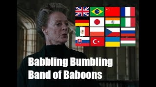 BABBLING BUMBLING BAND OF BABOONS in Different Languages Harry Potter and the Goblet of Fire [upl. by Adest]