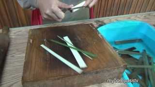 How To Make Papyrus Paper [upl. by Grace639]