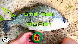 Tiny Reel  Huge Fish  Buffalo Bayou  Houston TX [upl. by Elletnohs]