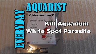 Cure Fish White Spot Ick with Chloramine T [upl. by Law]