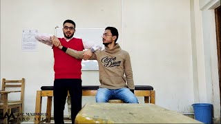 The Upper Limb PNF Techniques – Proprioceptive Neuromuscular Facilitation PNF [upl. by Helsie]