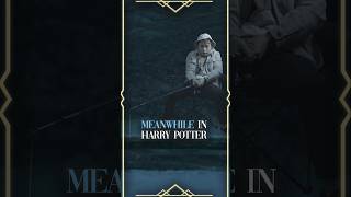 Meanwhile in Harry Potter⚡️ harrypotter vfx skit [upl. by Laamaj]