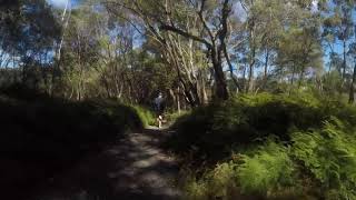 Nellies Glen Budderoo National Park NSW [upl. by Raamal411]