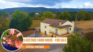 5 HECTARE FARM HOUSE FOR SALE  SHEEP CATTLE ORCHARD POTENTIAL CENTRAL PORTUGAL FARM REAL ESTATE [upl. by Azer]