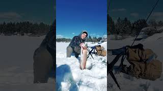 HUGE FISH FIRST TIME ICE FISHING fishing shorts outdoors [upl. by Tnaryb]